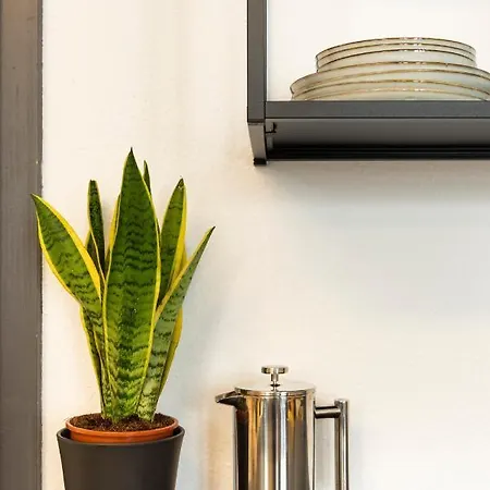 Appartement Studio Im Stadtzentrum - Ultrazentral Am Malerweg *